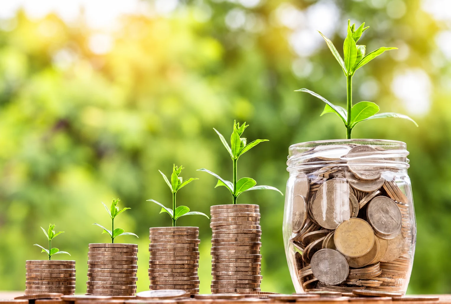 Seedlings growing in stacks of coins